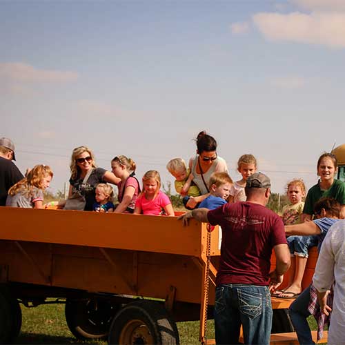 Join us for a hands-on educational field trip to our real working farm!
