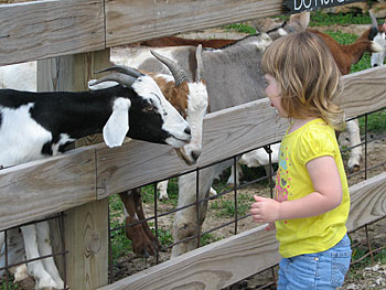 Join us for a hands-on educational school tour on the farm!