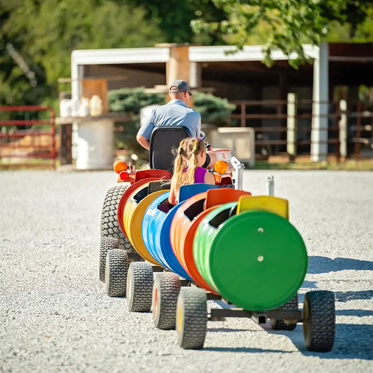 Kids love to visit Appleberry Orchard play area and petting farm while mom and dad love the fresh, homemade pies and breads in the farm market, at Appleberry Orchard in Donnellson, Iowa. 