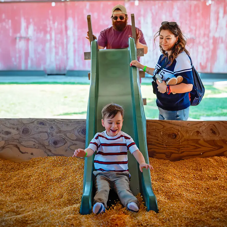A boy sliding down a slide into a sandbox of corn kernels with his parents smiling and watching.