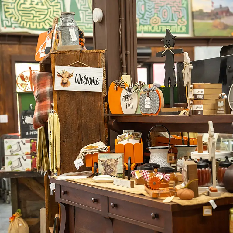 A selection of festive fall decor.